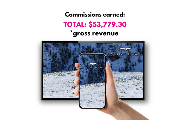 Vision Hawk case study
